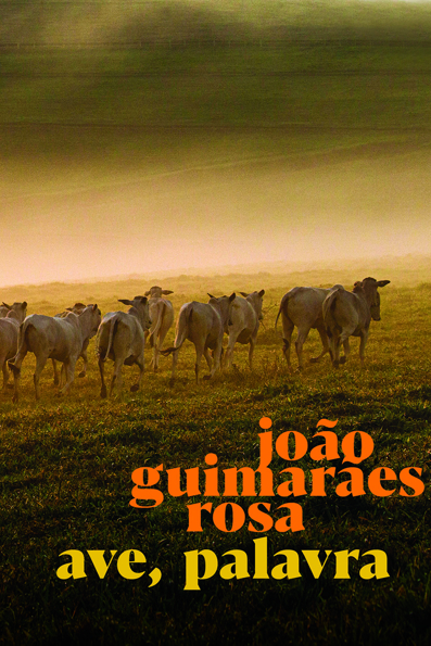 Capa do livro Ave, palavra